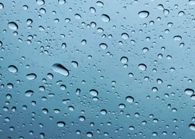 Moisture Meters