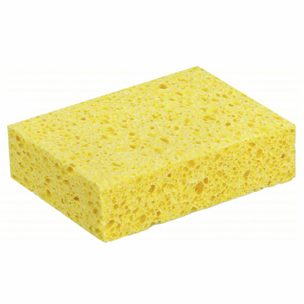 Gardco Washability Sponge for Sponge Box