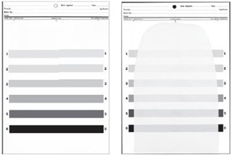 /assets%2FMultimedia%2FGARDCO%2FAssets%2FImages%2FProduct%20Images%2FDrawdown%20Charts%2Fpc%2Fhidpwr_skintone_wallmatte%2Fgrayscale.png