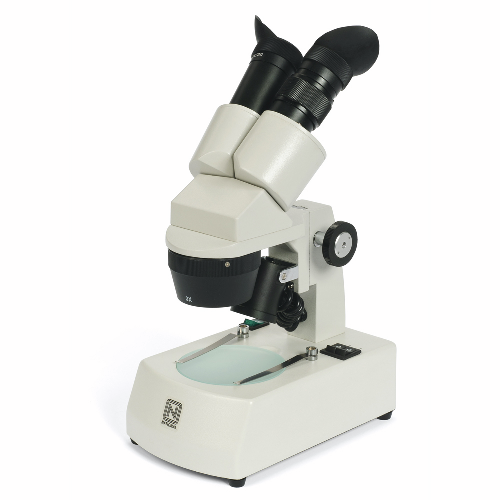 Dual Magnification Stereo Microscope