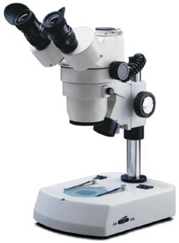 Trinocular Stereo Microscopes