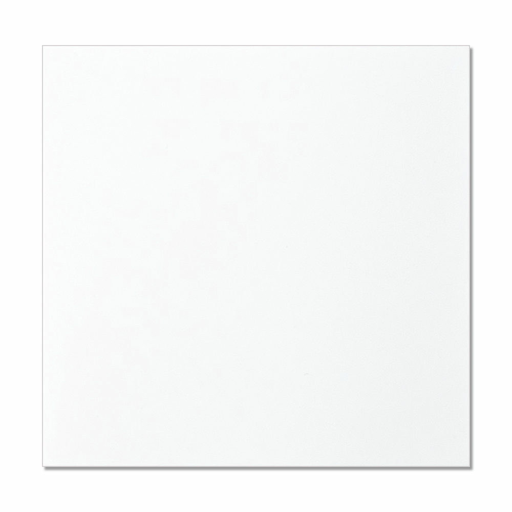 Dry Film Thickness Standard, White
