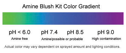 Amine Blush Kit Color Scale