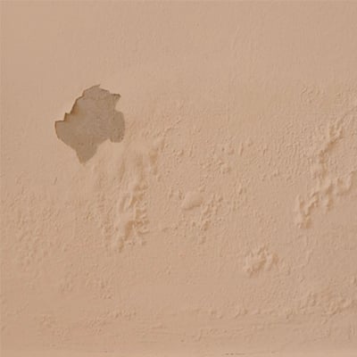 Paint Blistering Peeling