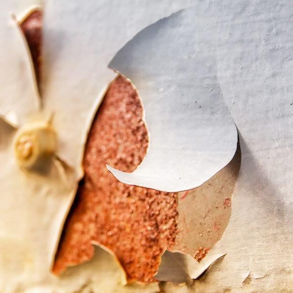 Knowledge Library Coating Failure Image