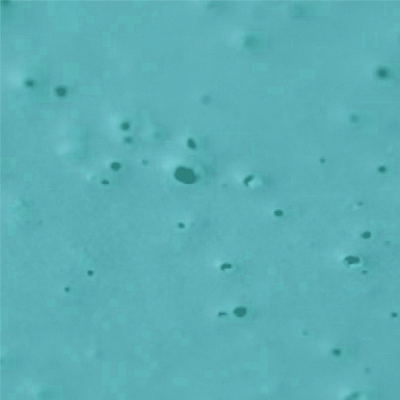 Paint Defects and Solutions